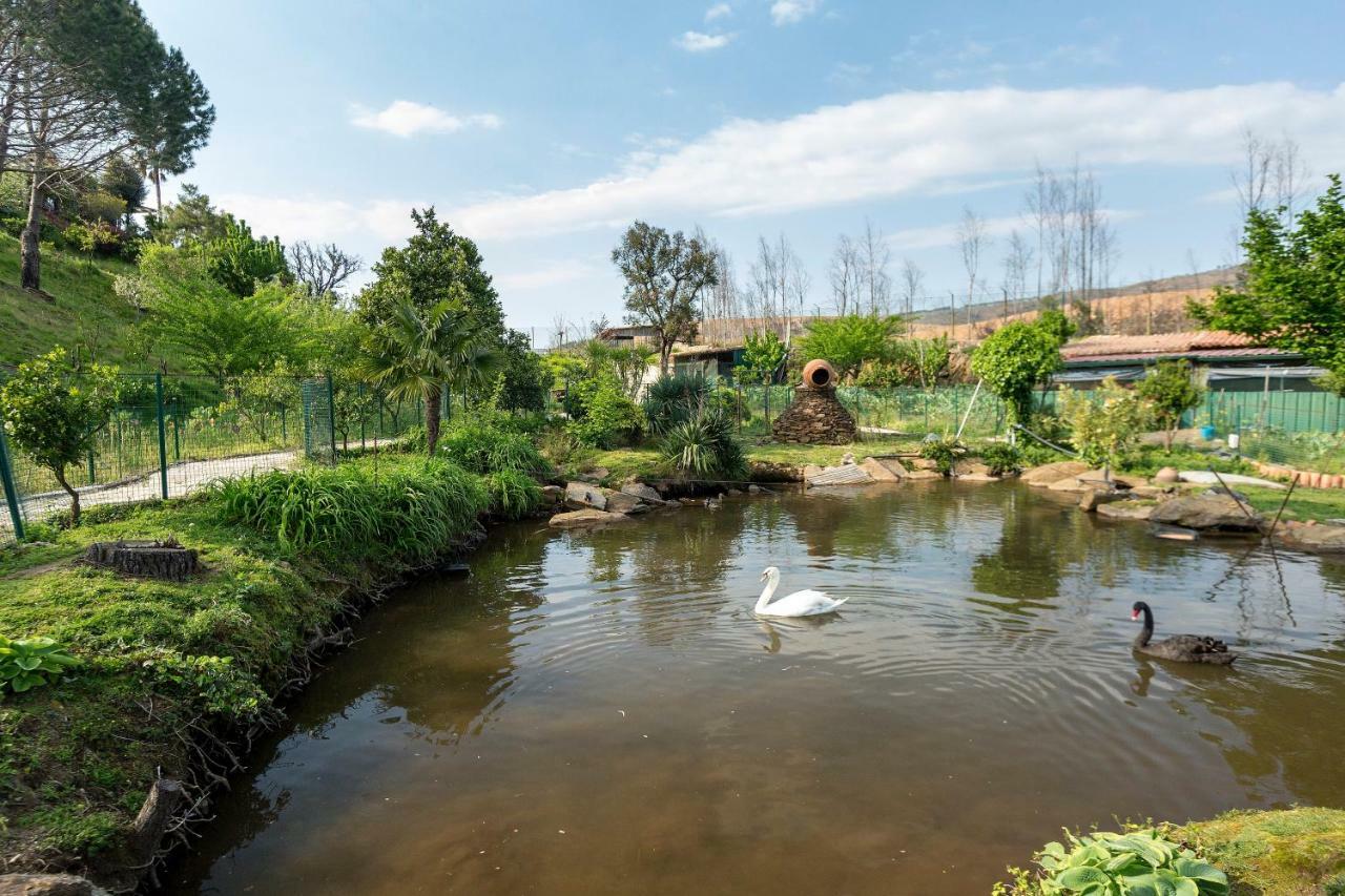 Casa Da Encruzilhada Holiday home Ponte de Lima